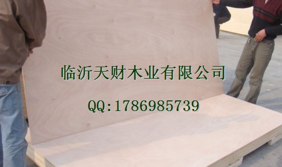 臨沂膠合板廠家福興美猴臨沂天財(cái)木業(yè)-產(chǎn)品展示與工程應(yīng)用詳解